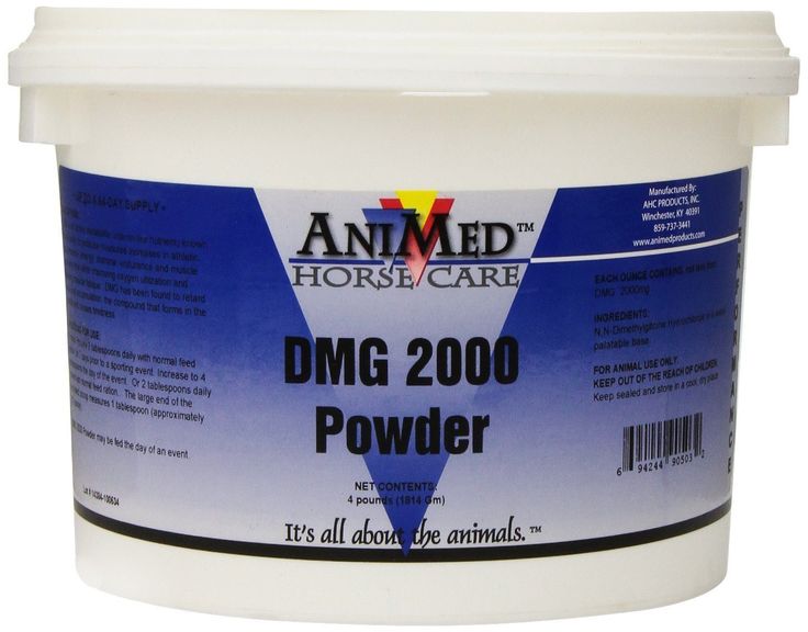 dmg 2000 powder